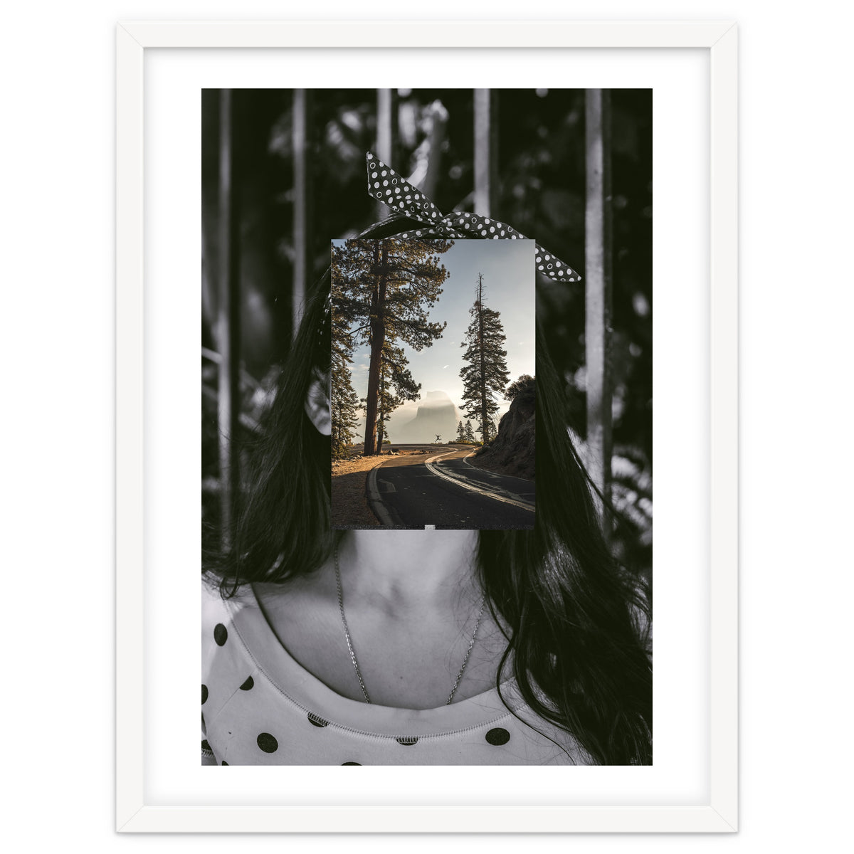 Silva Where Are You?