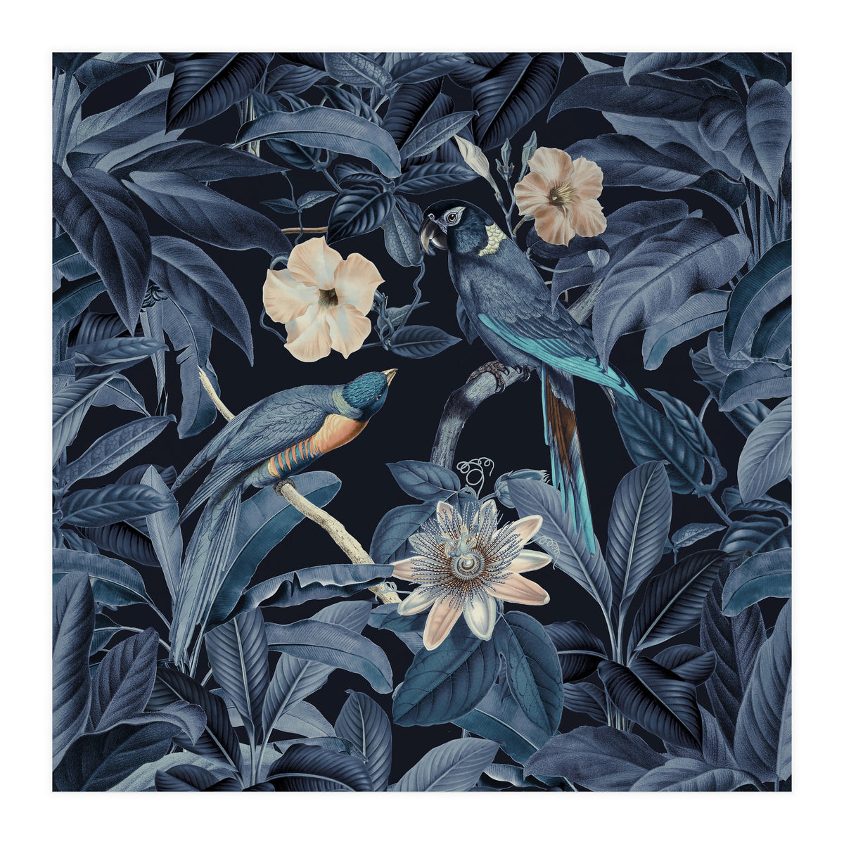 Exotic Jungle Birds At Night (Print Only)