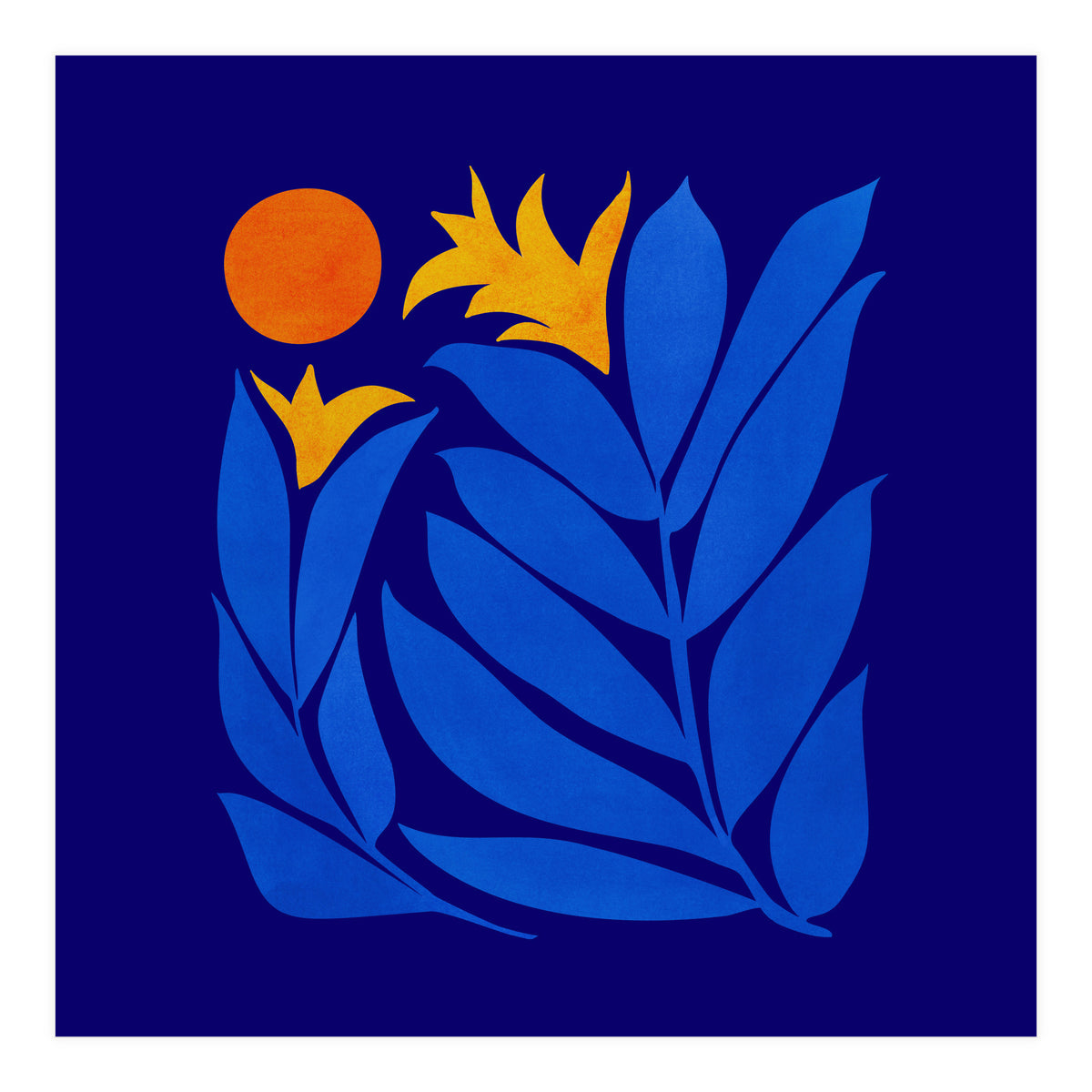 Community Garden At Night (Print Only)