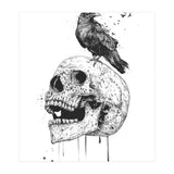 New Skull (bw) (Print Only) thumbnail