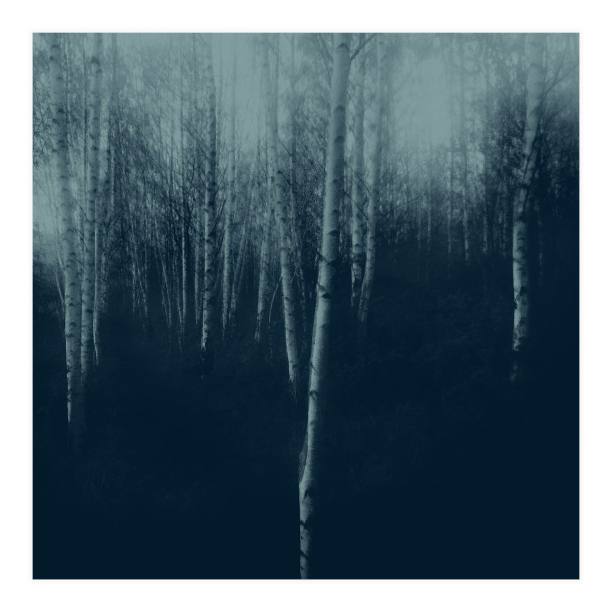 deep veins I (Print Only)