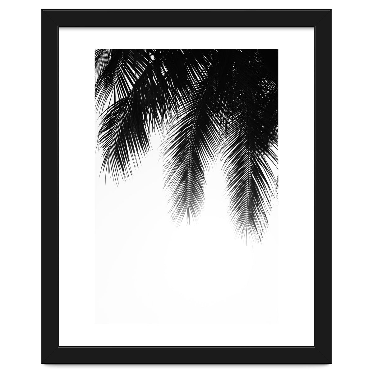 Palm leaves