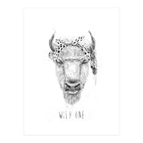 Wild One (Print Only) thumbnail