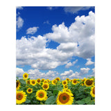 Nature (Print Only) thumbnail