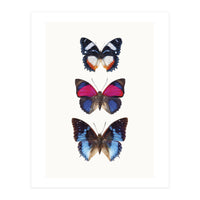 Cc Butterflies 03 (Print Only)
