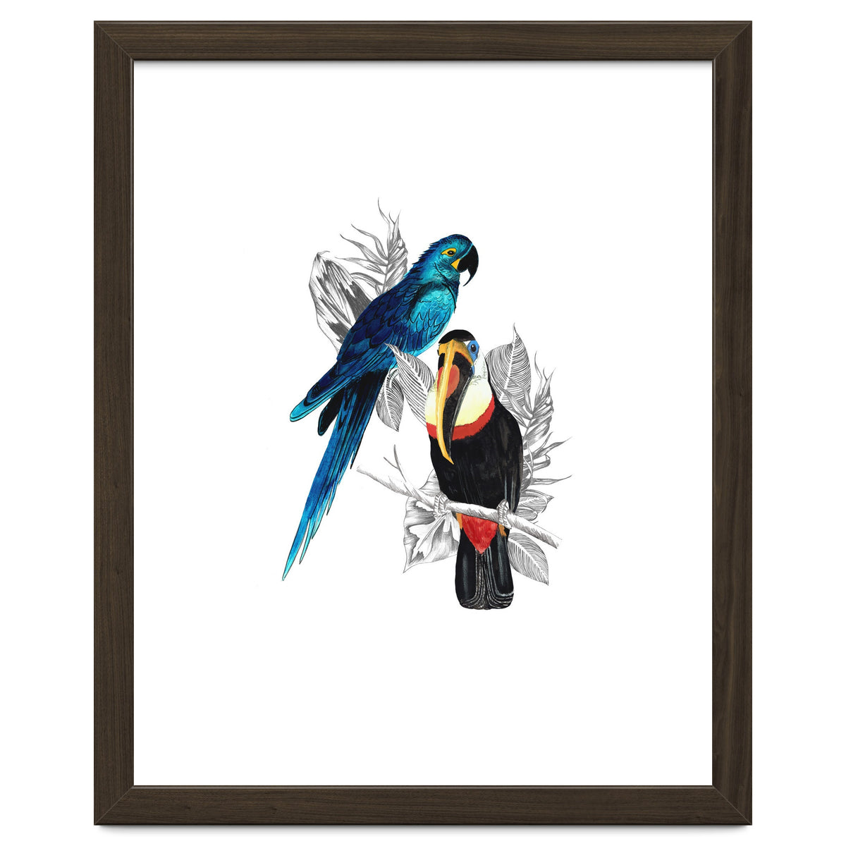 The Toucan and the Parrot