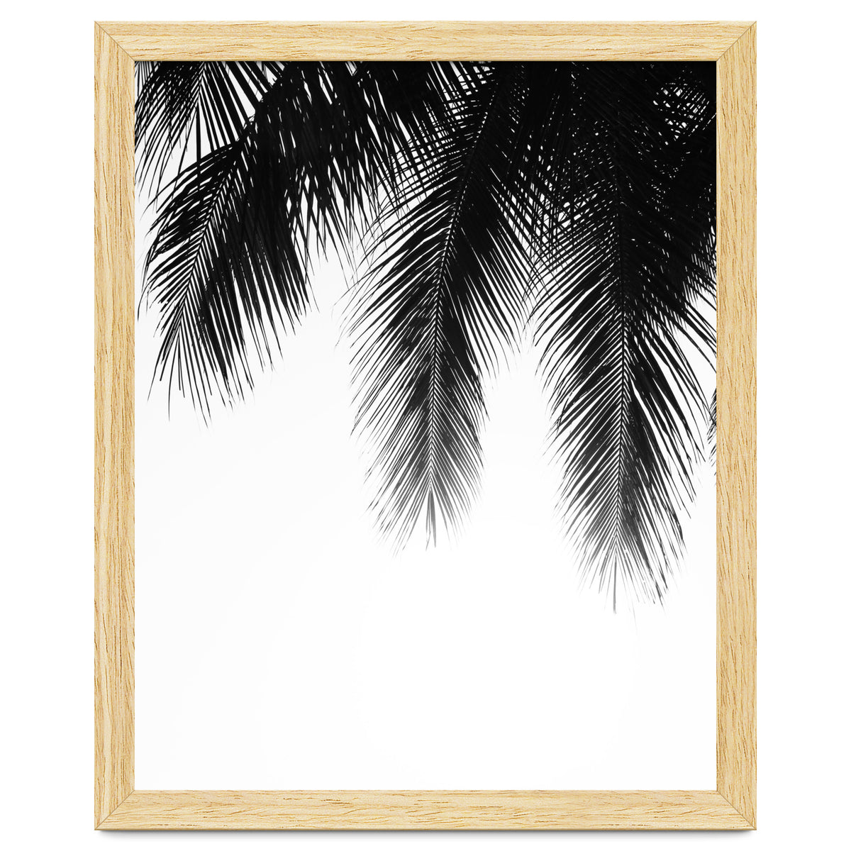 Palm leaves