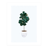 FIddle Leaf Fig gold and green (Print Only) thumbnail