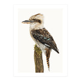 Cc Birds 08 (Print Only) thumbnail
