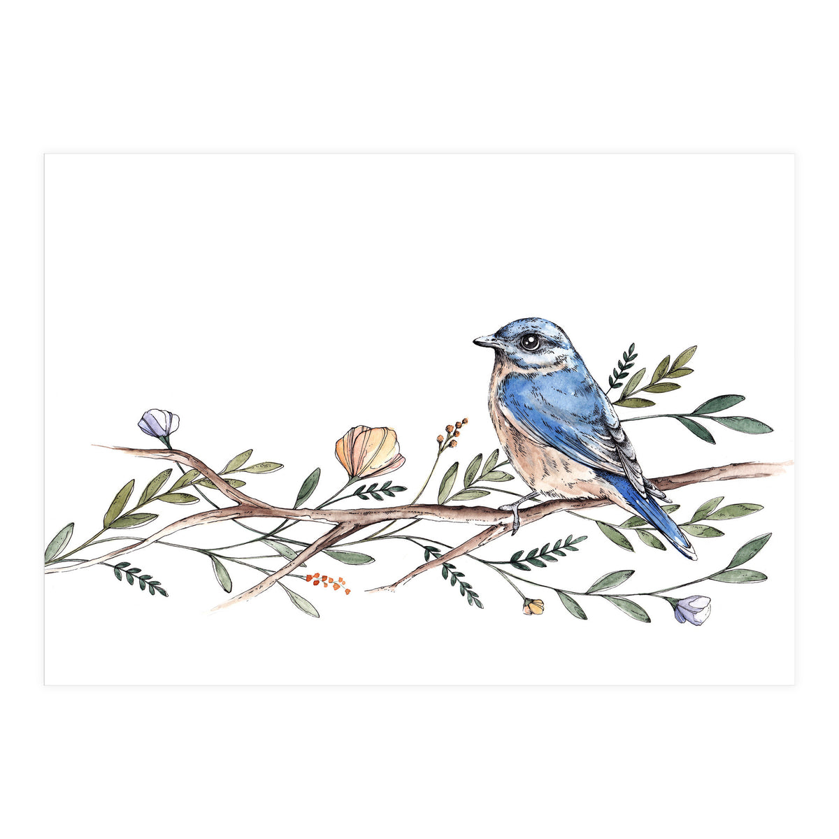 Bird on Branch (Print Only)