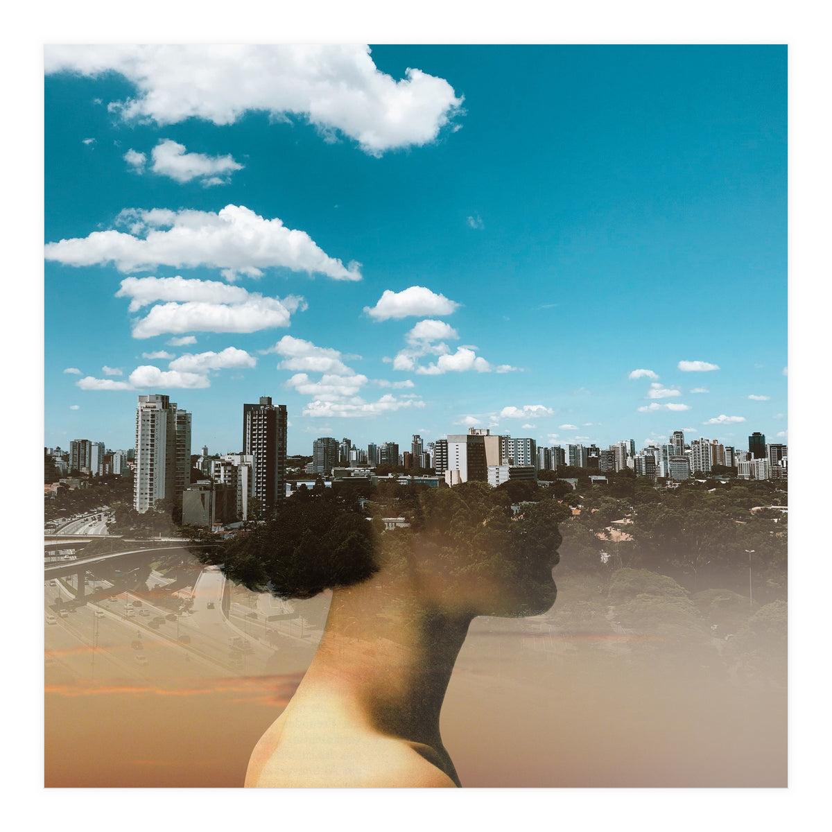 Dream Division 15 (Print Only)