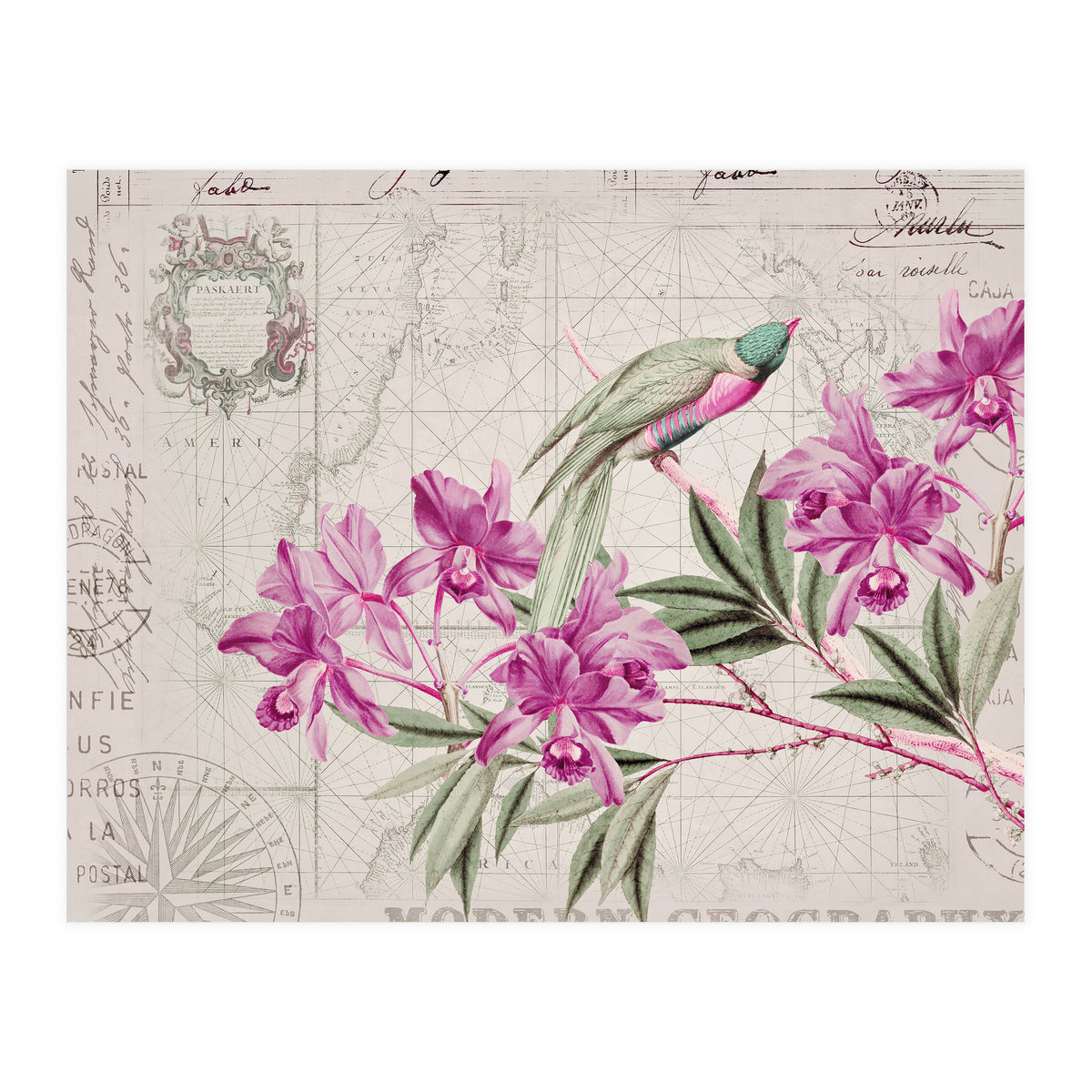 The Birds Voyage Of Discovery (Print Only)