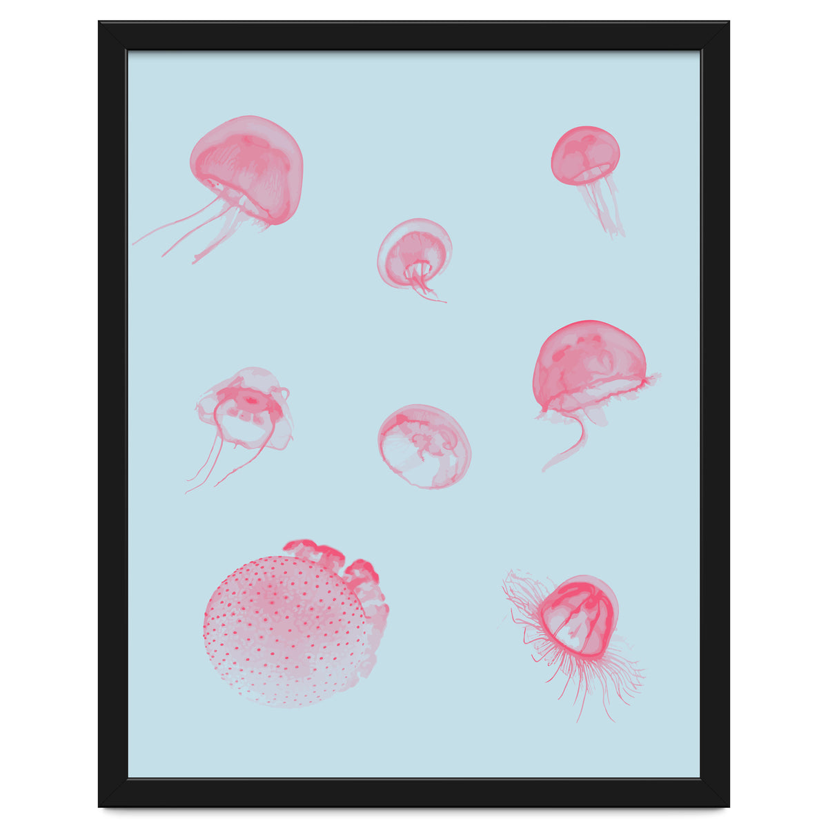 Jellyfish