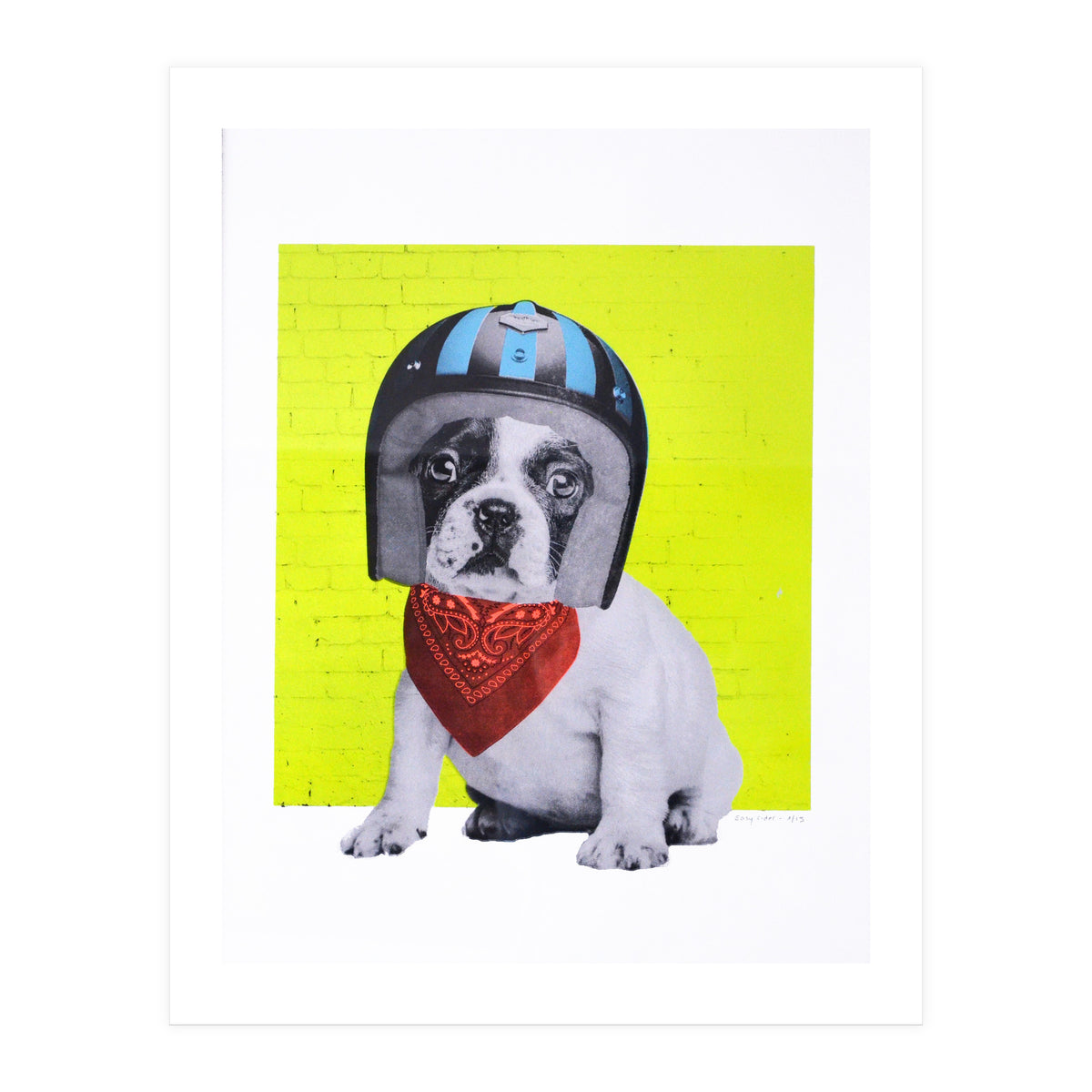 Easy Rider Dog (Print Only)