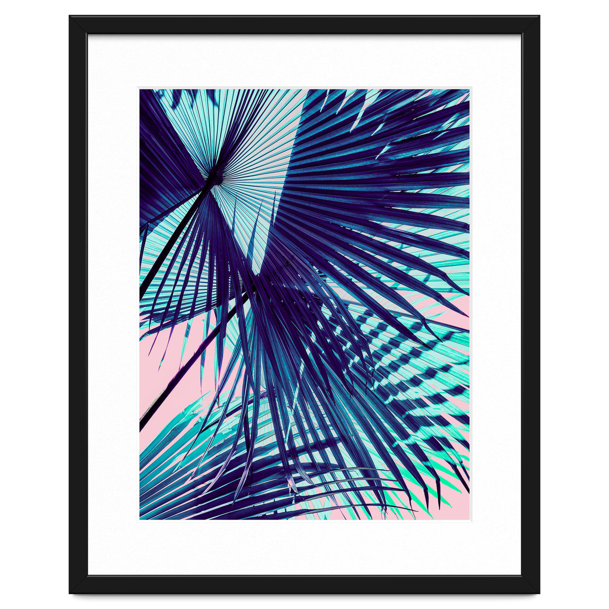 Palm leaf on the beach