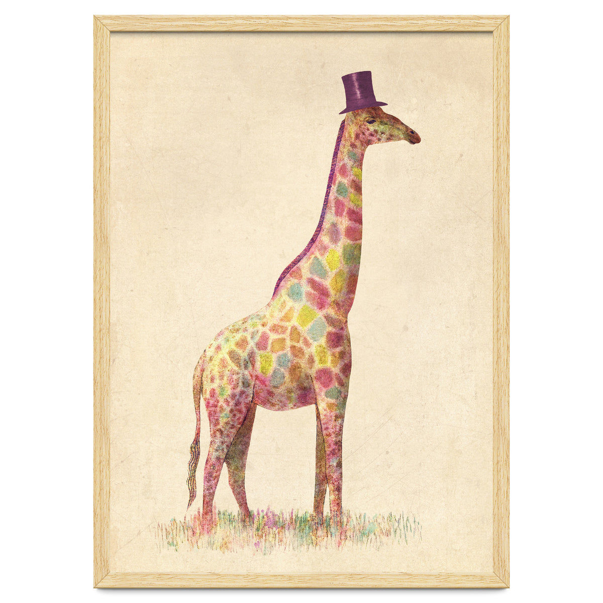 Fashionable Giraffe