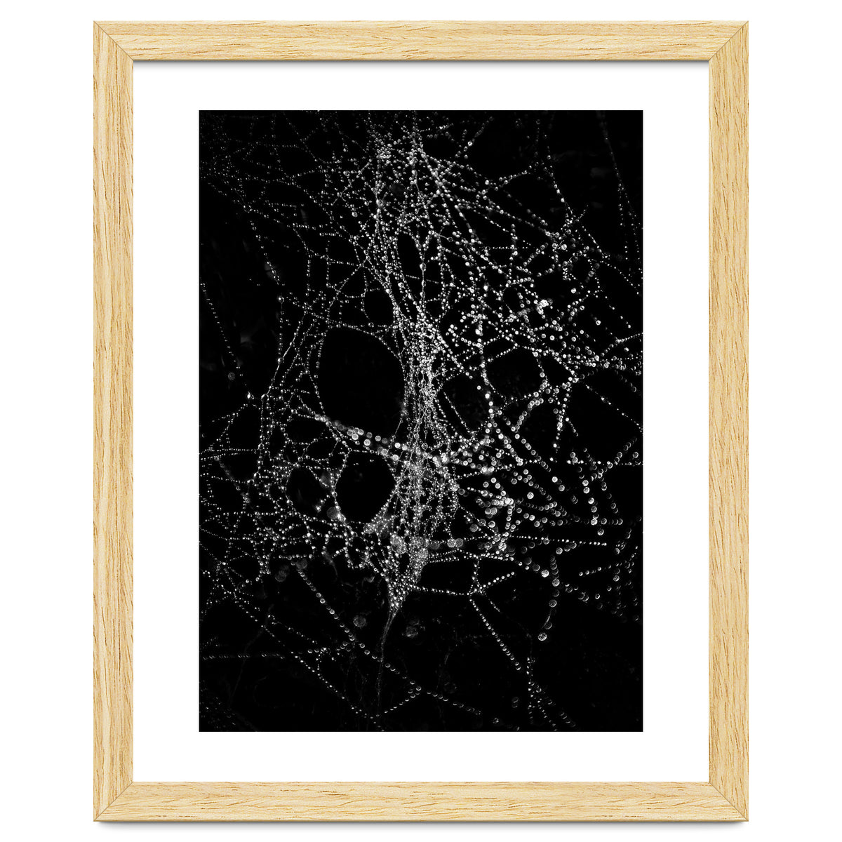 Spiderweb No 4