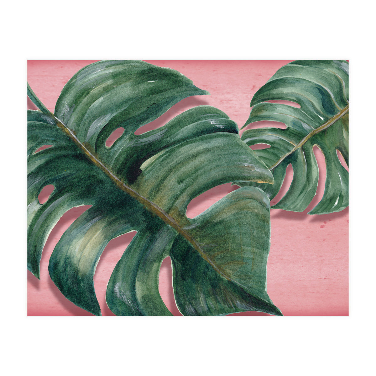 Monstera Leaf (Print Only)