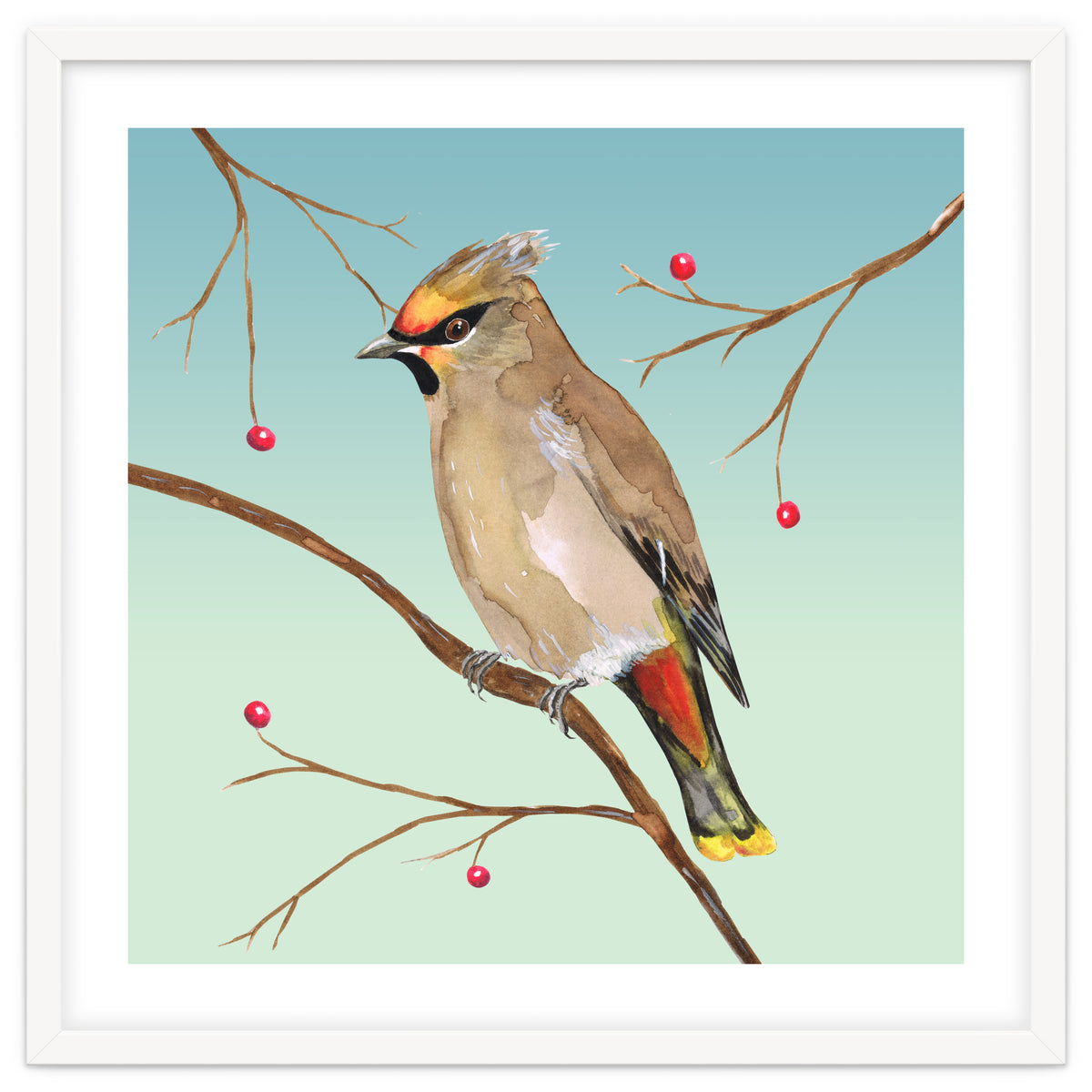 Bohemian waxwing
