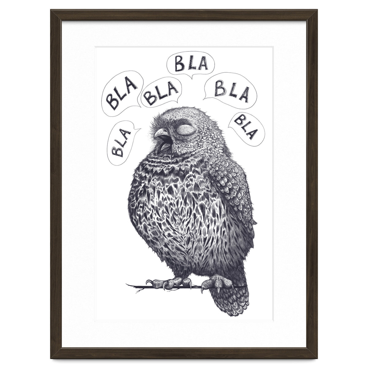 Owl Bla Bla Bla