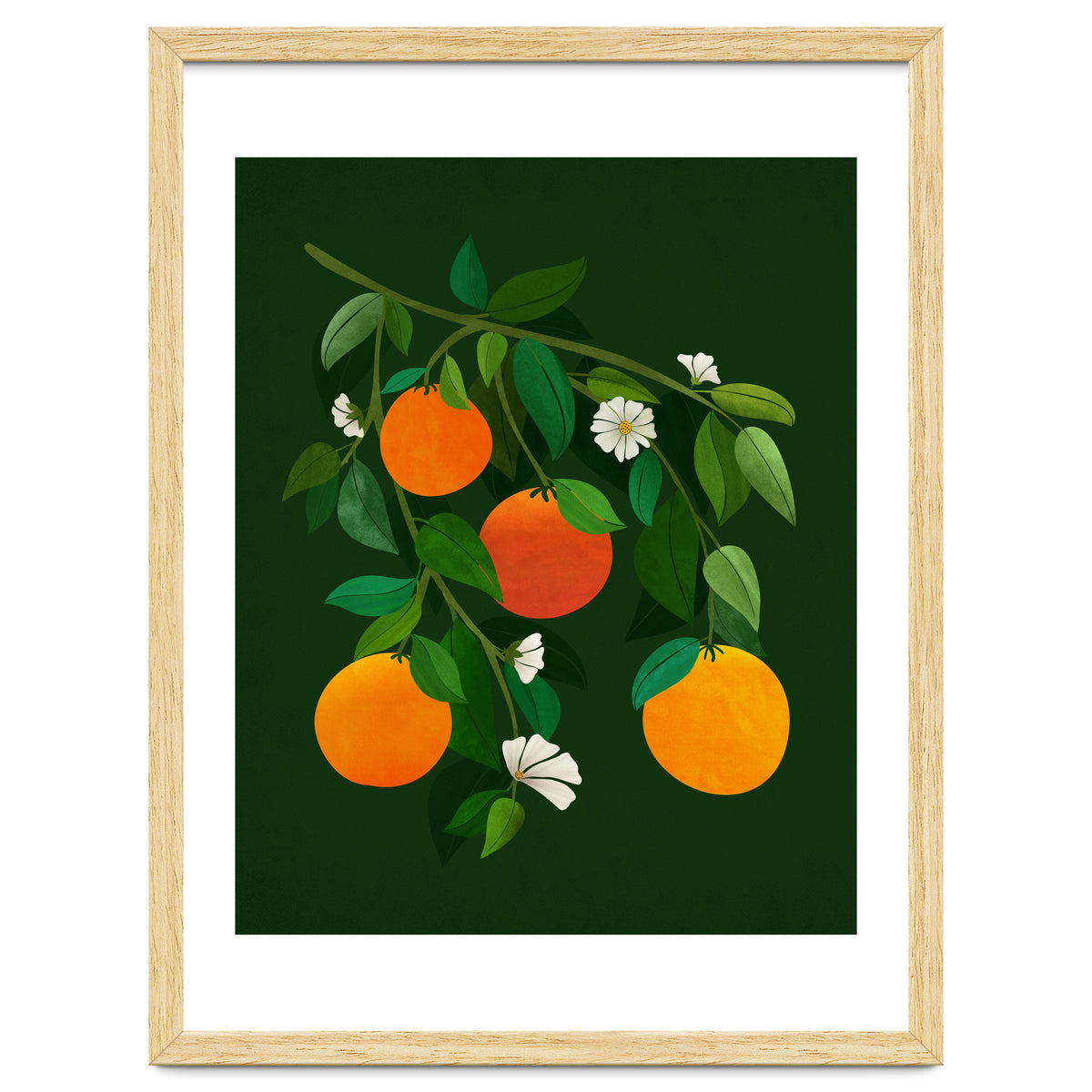 Oranges and Blossoms