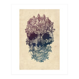 Skull Floral  (Print Only) thumbnail