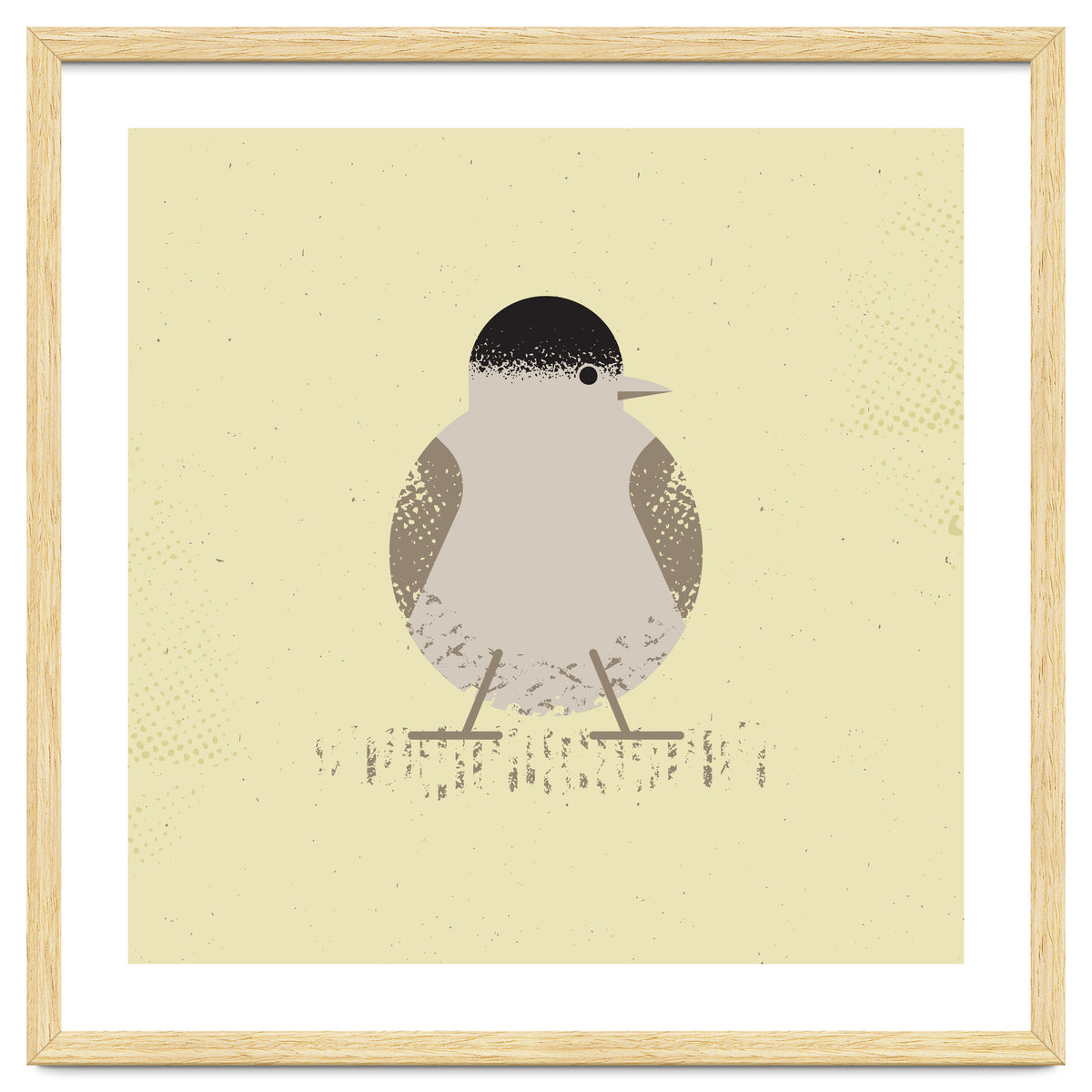 Blackcap 2