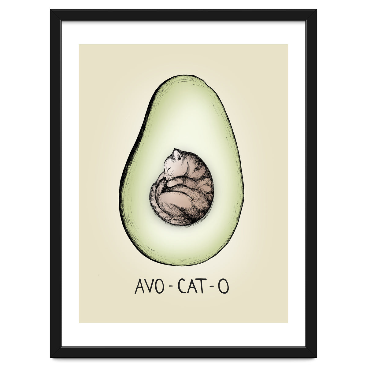 Avo-cat-o