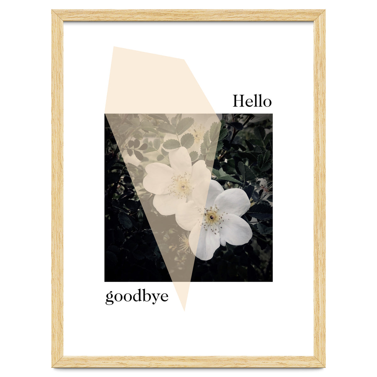 Hello goodbye