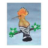 Hoopoe bird (Print Only) thumbnail