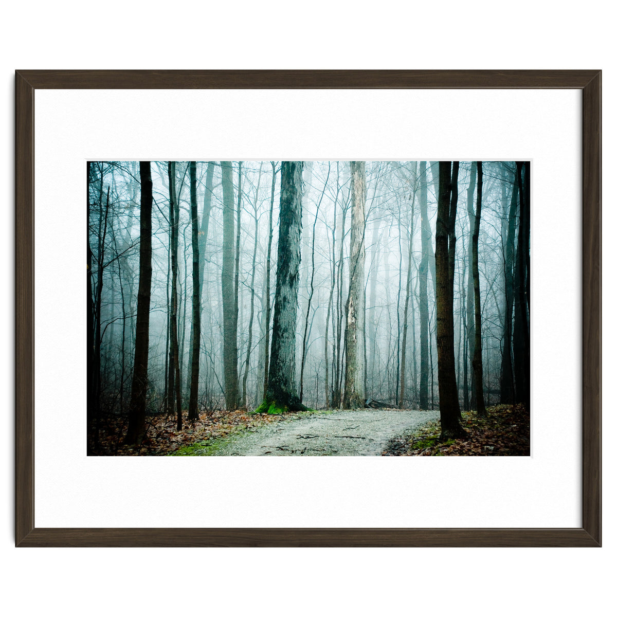 Gather Up Your Dreams