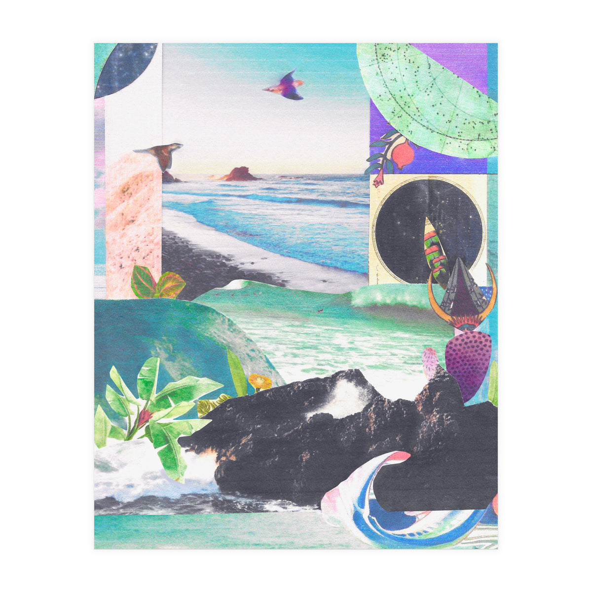 Beak Ruddy (Print Only)