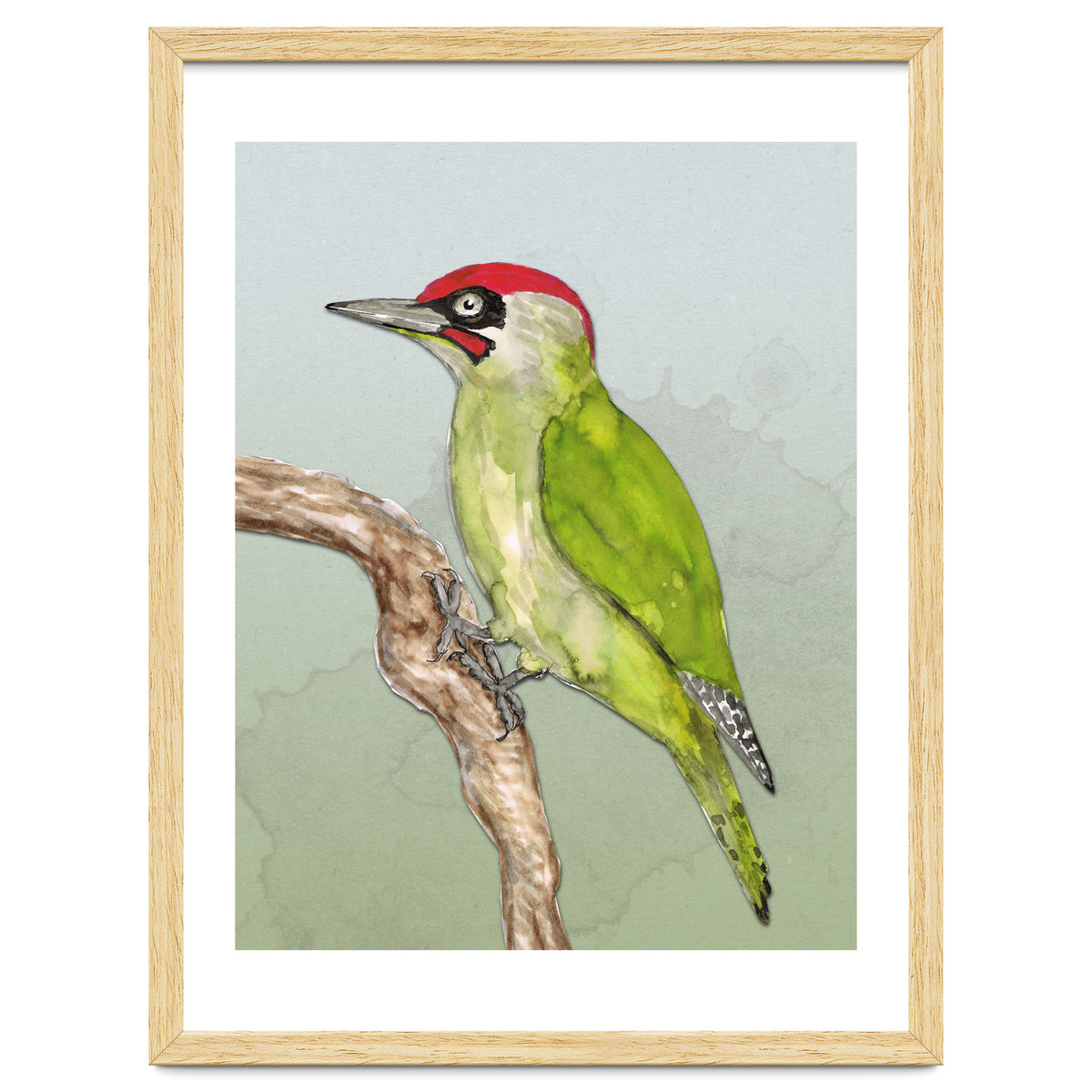 Green woodpecker