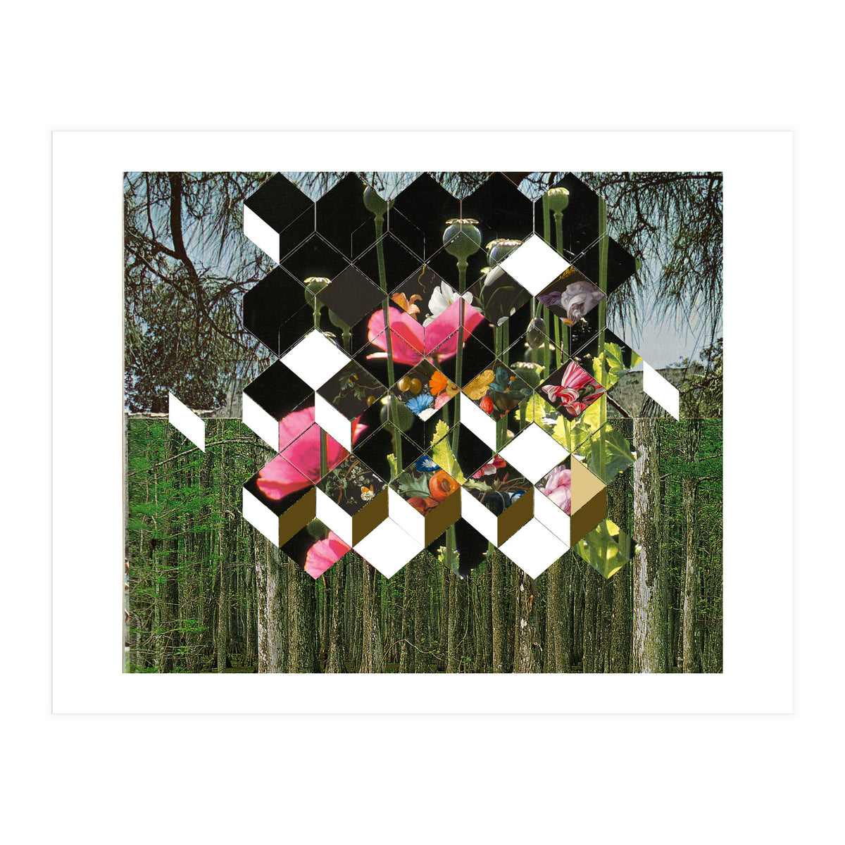 The Green (Print Only)