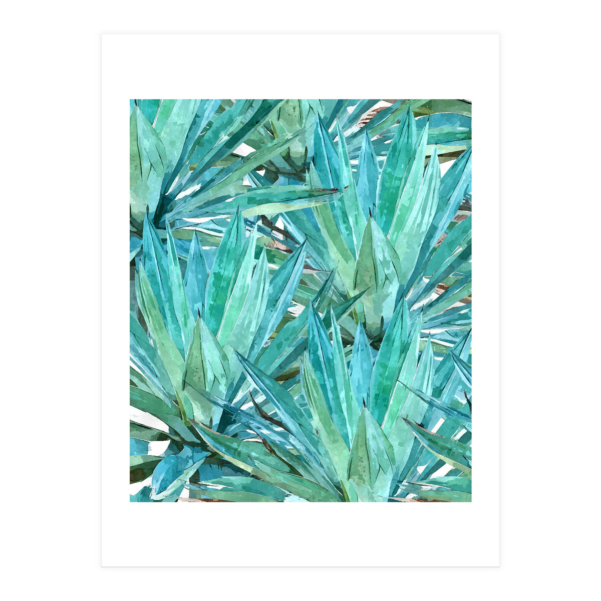 Agave  (Print Only)