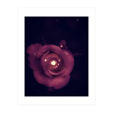 Red Sparkling Rose (Print Only) thumbnail