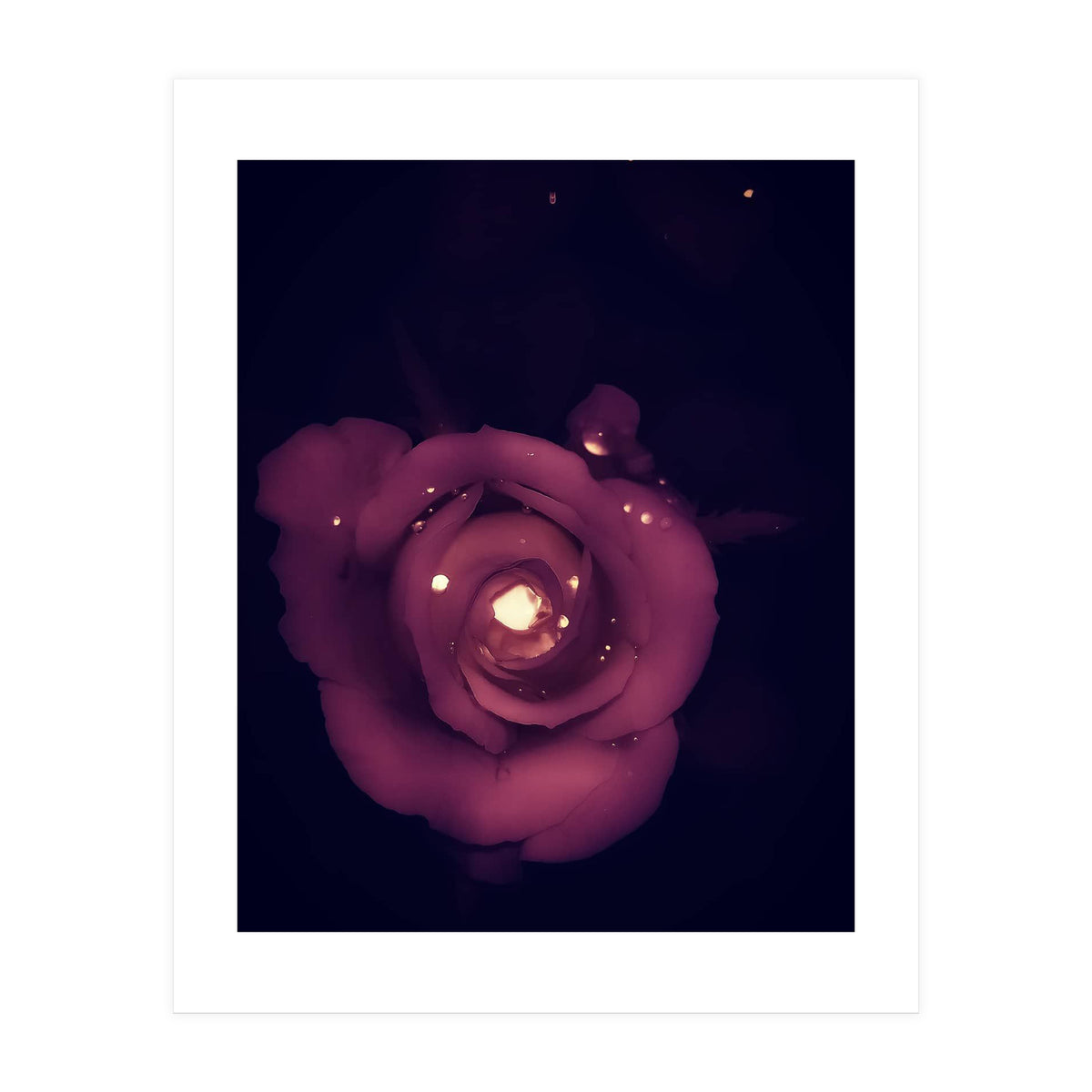 Red Sparkling Rose (Print Only)