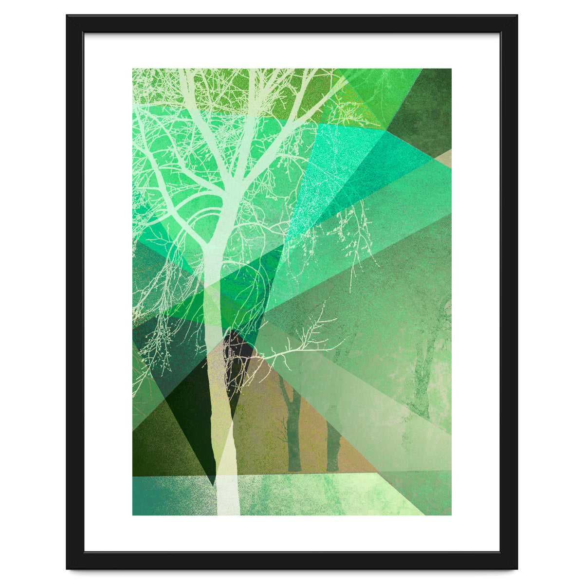 P22 B Trees And Triangles