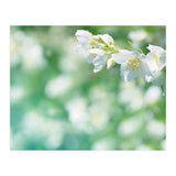 Nature (Print Only) thumbnail