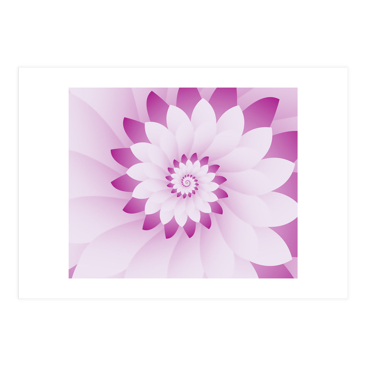 Abstract Pink & White Floral Design  (Print Only)