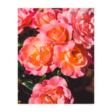 Rose  (Print Only) thumbnail