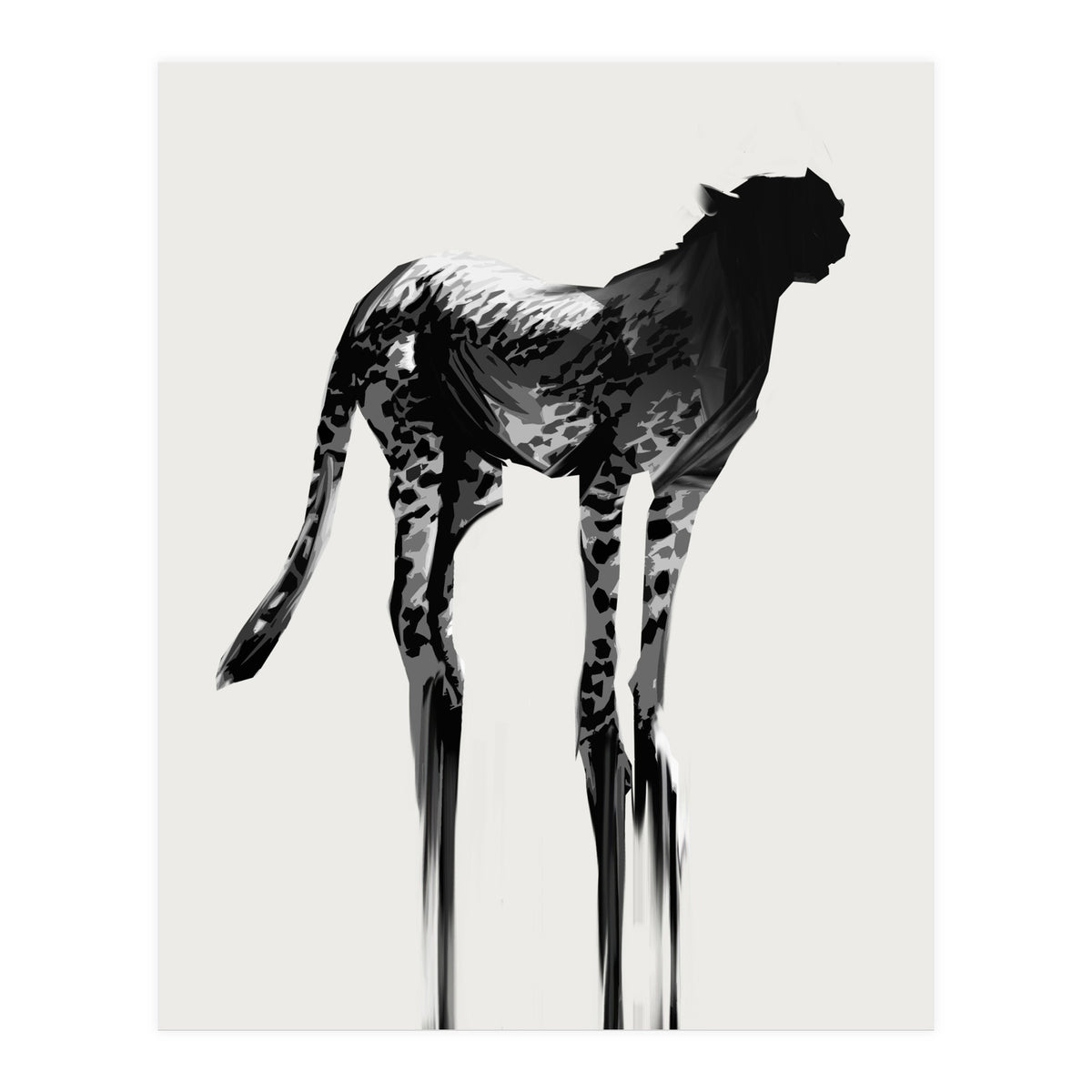 Cheetah  (Print Only)