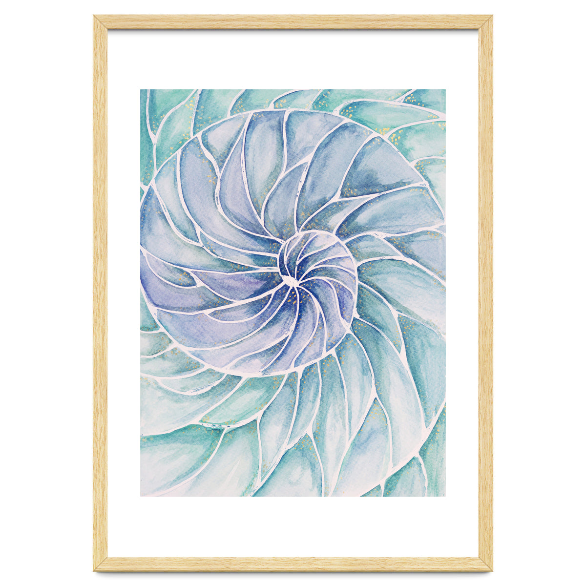 The inside of a shell