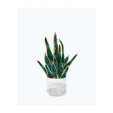 Snake Plant gold and green (Print Only) thumbnail