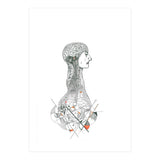 Anatomy (Print Only) thumbnail