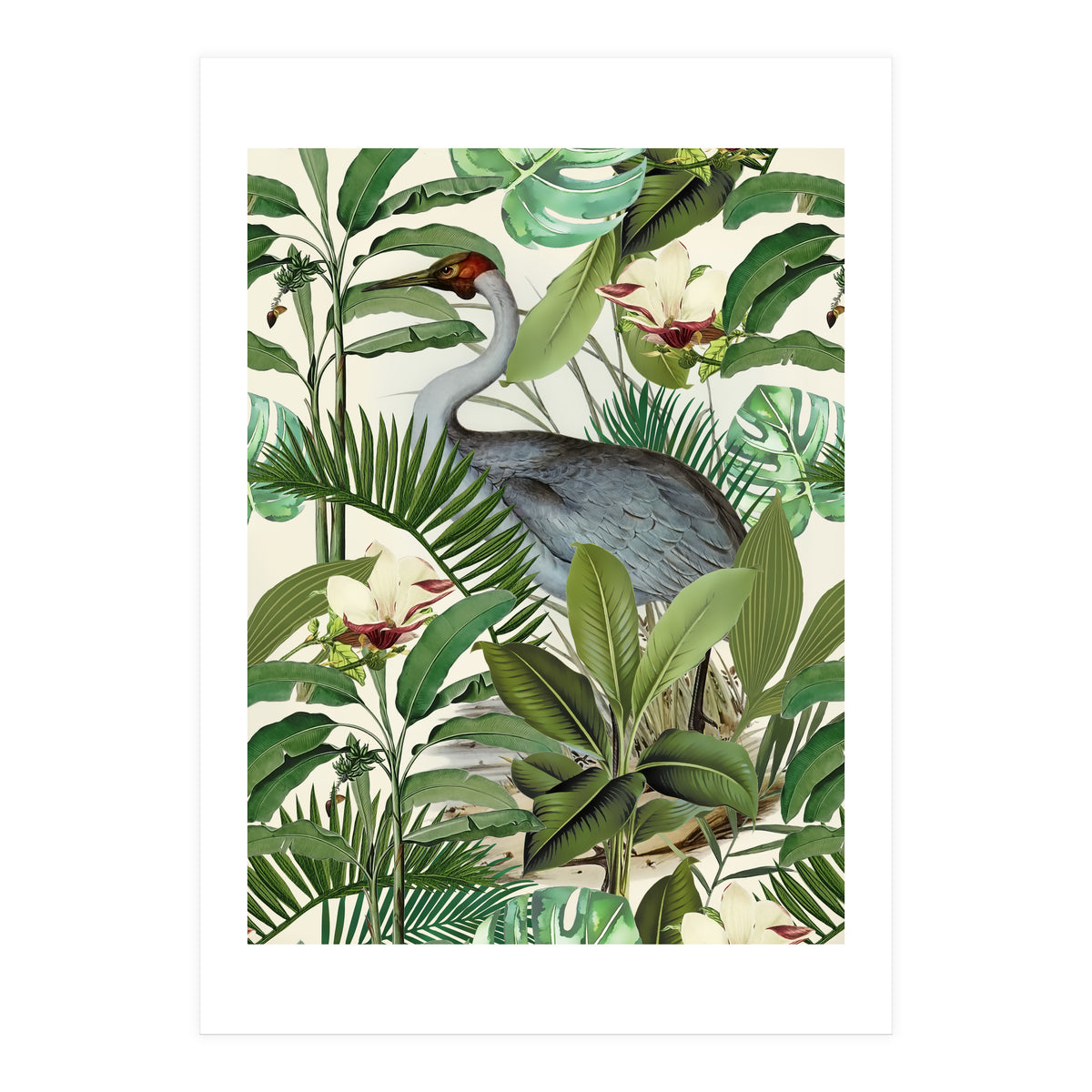 Tropical Heron (Print Only)