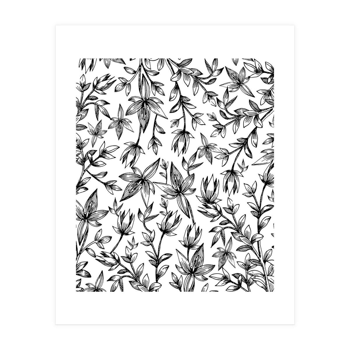 Veli V2 (Print Only)