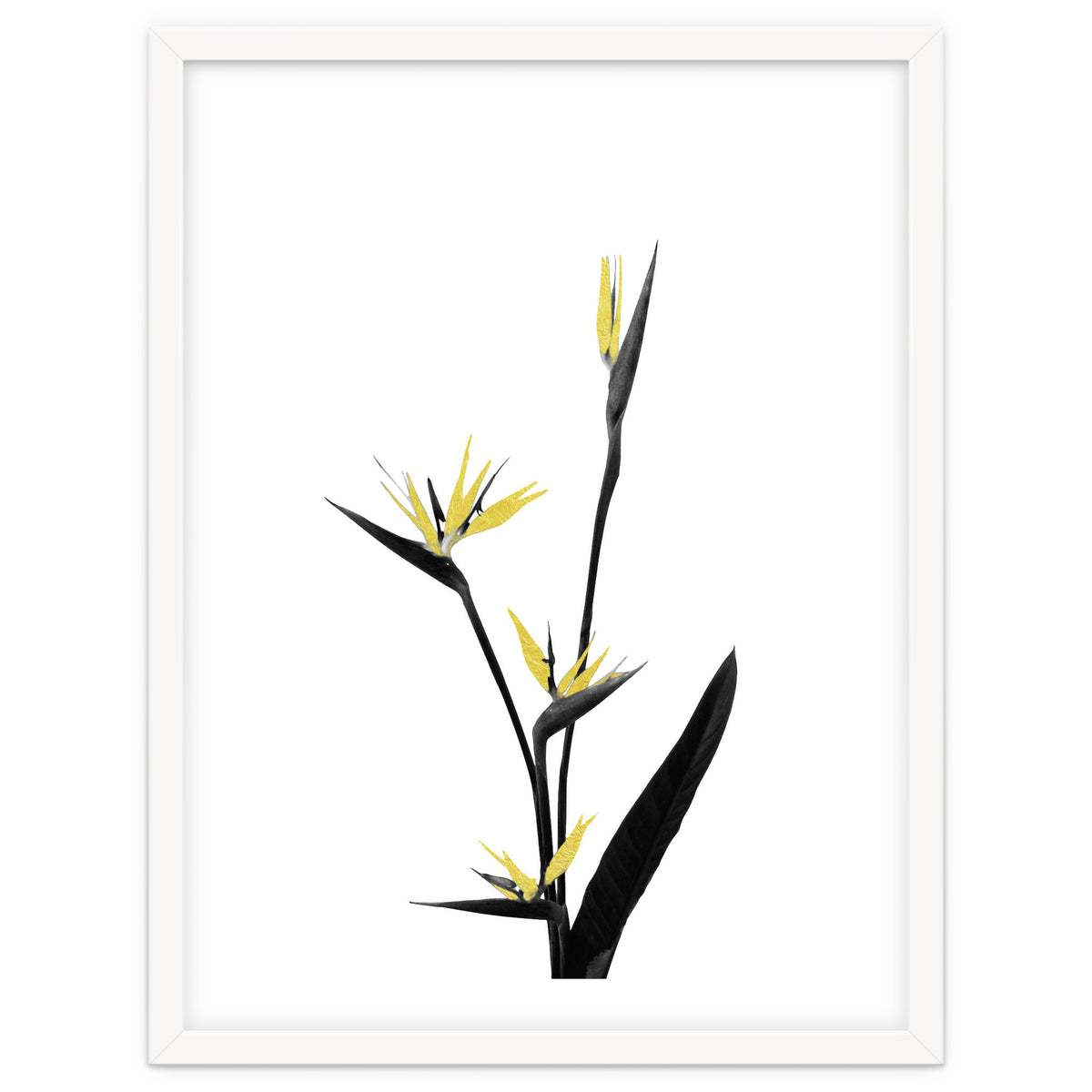 Flower Minimal Black And Gold 05