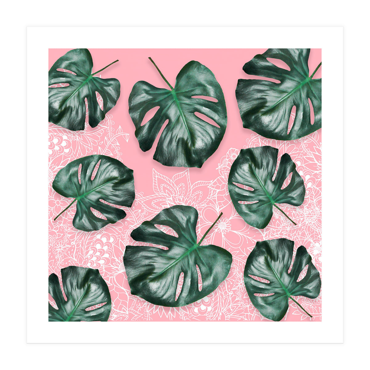Modern 3d green tropical monstera leaf photo on blush pink white floral illustration (Print Only)