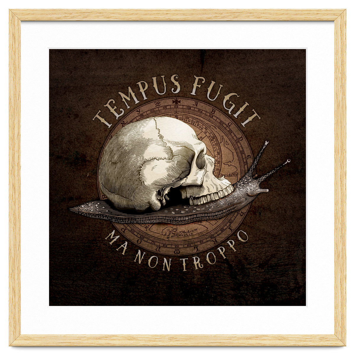 Tempus Fugit (ma non troppo)